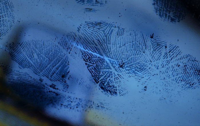 Blood palm print enhancement with Amido Black, crime scene investigation, latent print development