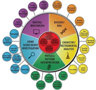 OSAC Organizational Structure